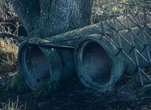 Pipes under the oak tree.
