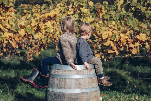 Waghorn grandchildren on a wine barrel in a vineyard.