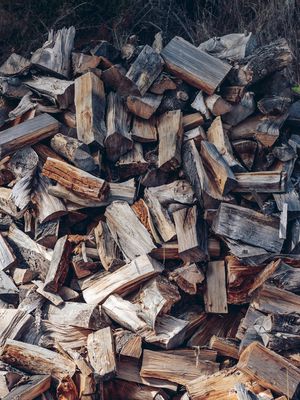 A pile of firewood.