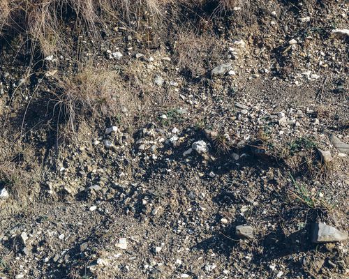 Fragmented limestone soil at Taihoa vineyard.