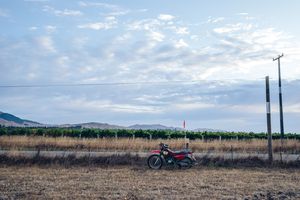 A vineyard motorbike.